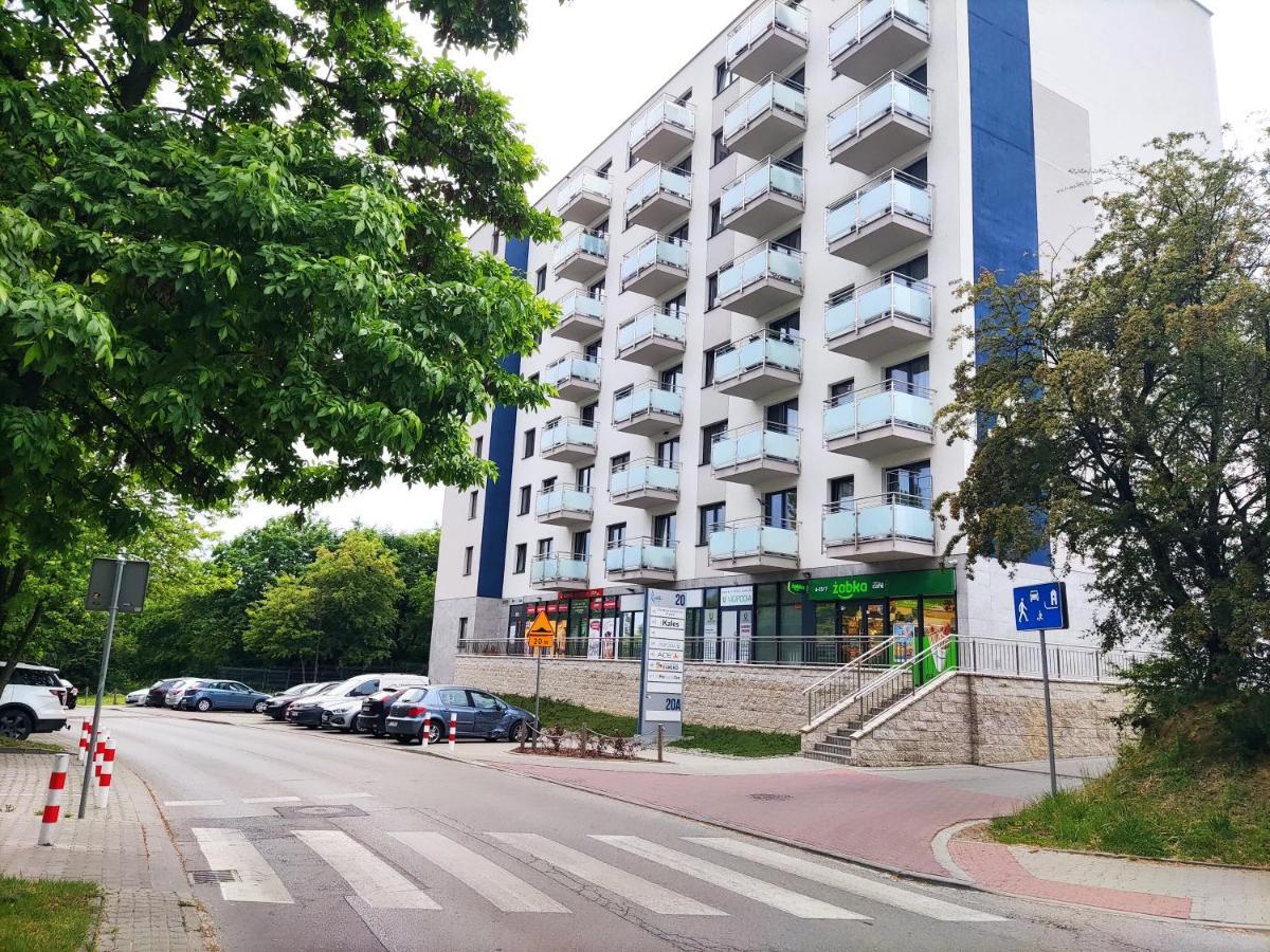 Апартаменти Apartament Краків Екстер'єр фото